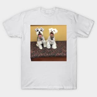 Cute Schnauzers T-Shirt